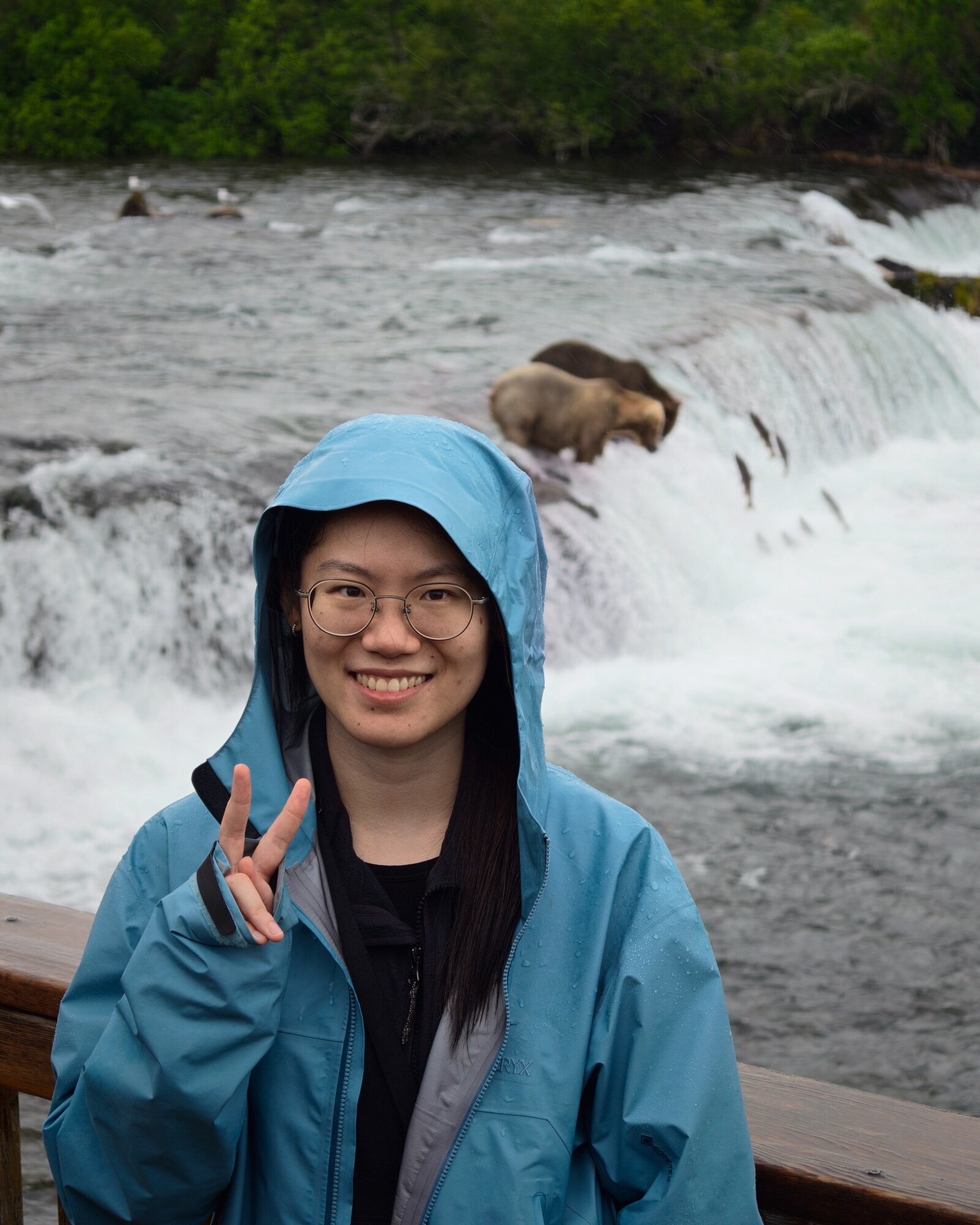 Yicheng Liu in a blue rain jacket at Brooks Falls, Katmai National Park, with brown bears and leaping salmon at the waterfall behind.